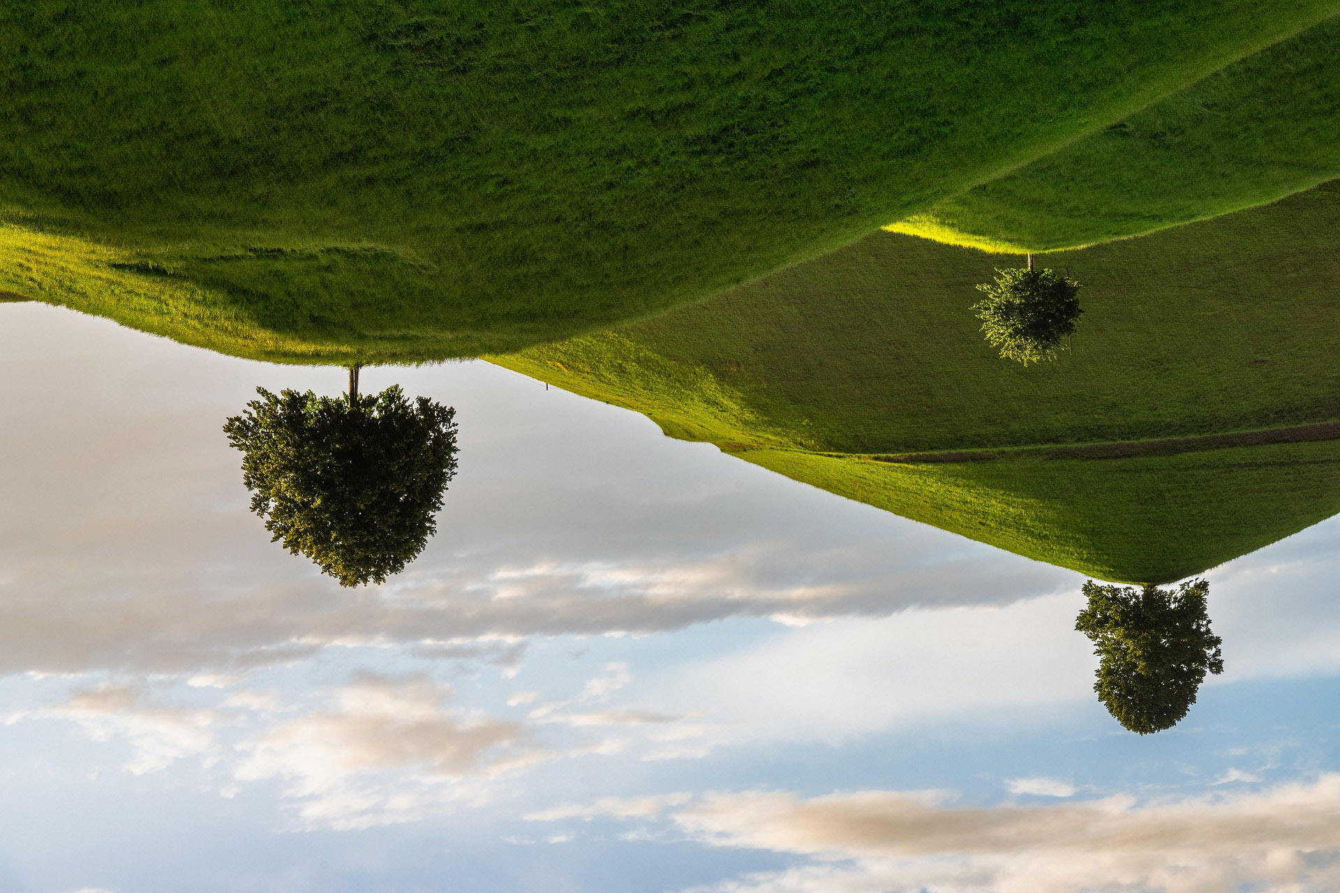 paesaggio ribaltato